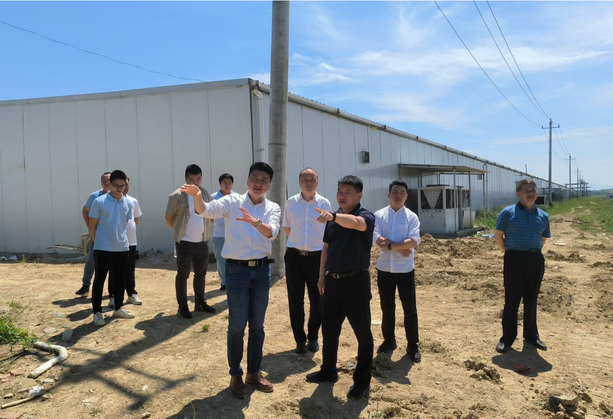 市國控集團(tuán)黨委書記、董事長張志堅帶隊深入調(diào)研鄉(xiāng)村振興項目